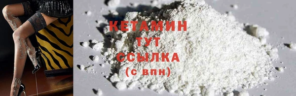 индика Бронницы