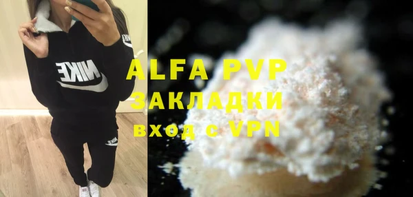 индика Бронницы