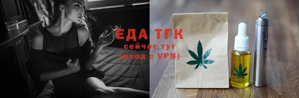 индика Бронницы