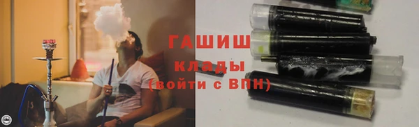 индика Бронницы