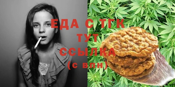 индика Бронницы