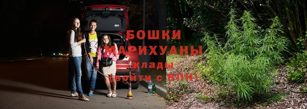 сатива Верхнеуральск