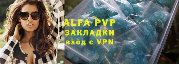 индика Бронницы